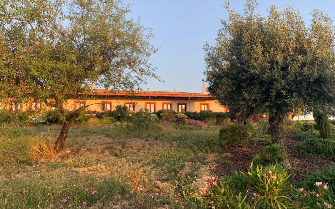 Acordar na Quinta da Baleeira