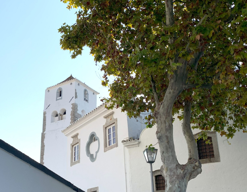 As árvores de Tavira
