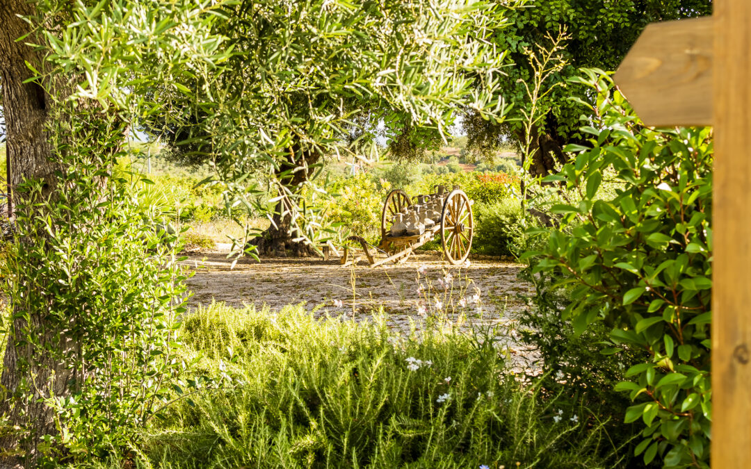 Sustentabilidade da Quinta da Baleeira